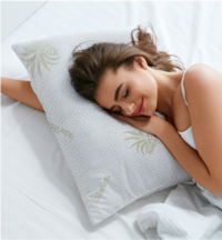 GUANCIALE MEMORY ALOE/Z 45X72 Tellini S.r.l. Ingrosso Abbigliamento